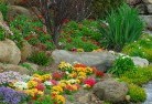 Somerville WAplanting-garden-and-landscape-design-69.jpg; ?>